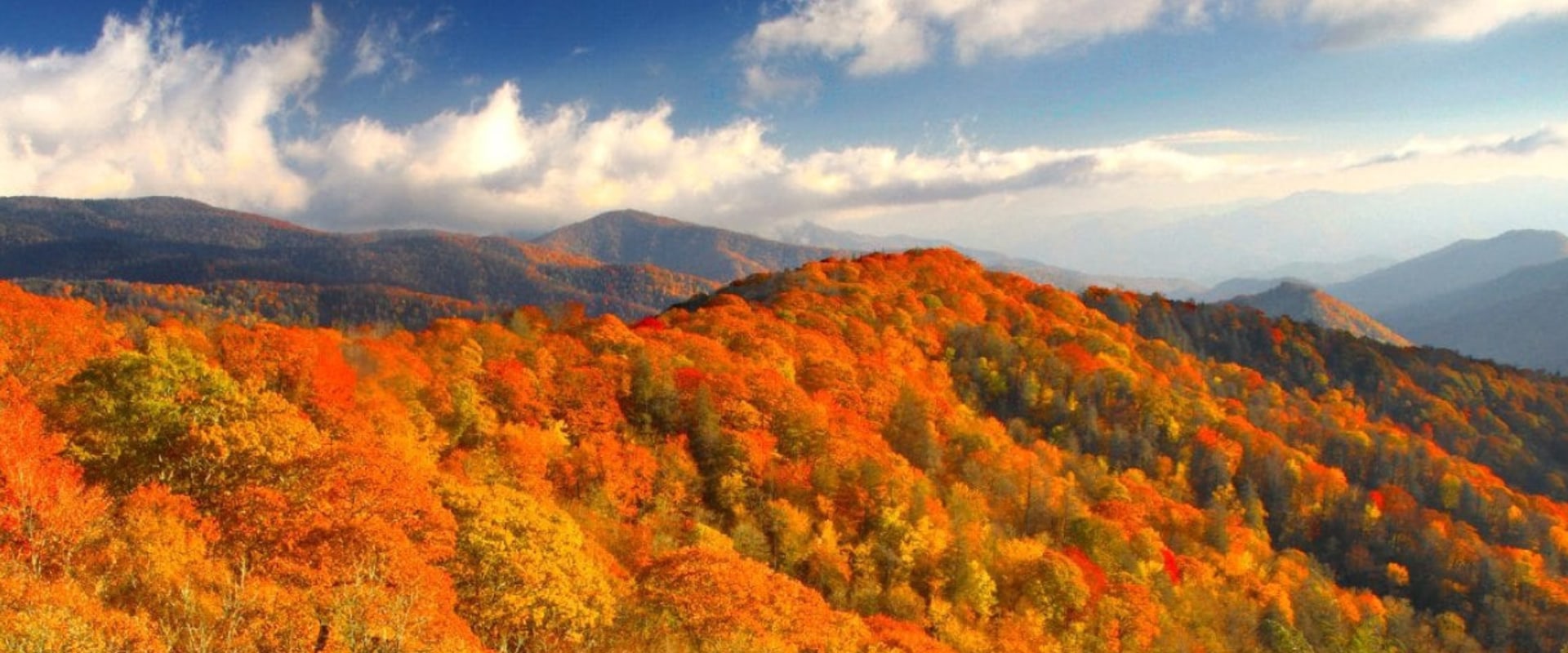 Discovering the Vibrant Community Celebrations of East Tennessee