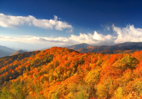 Discovering the Vibrant Community Celebrations of East Tennessee